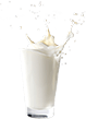 유백색 맛